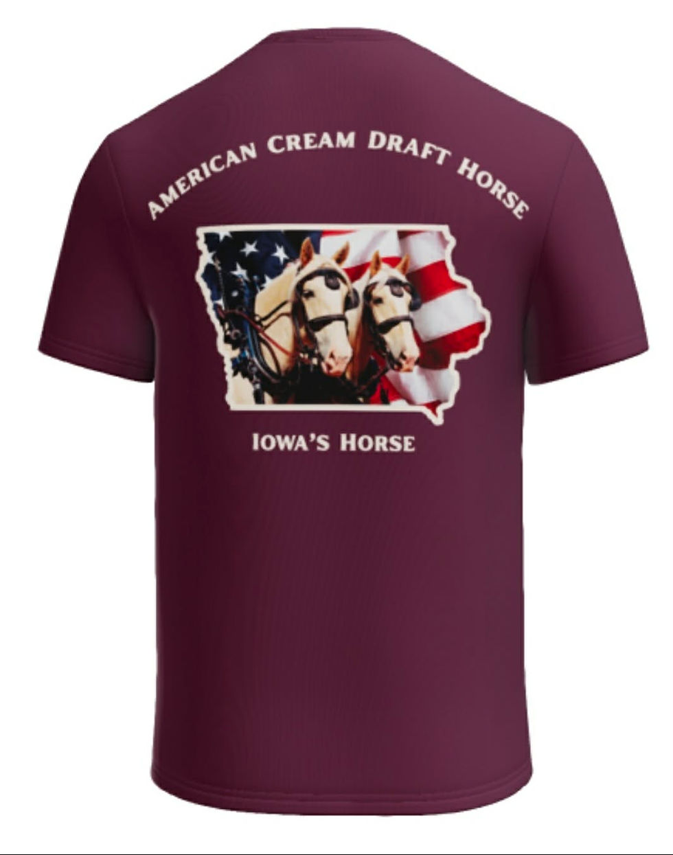 Back of Shirt.jpg