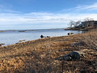 IMG_1533.jpeg