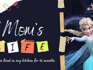 Elsa lived in my kitchen for 16 months