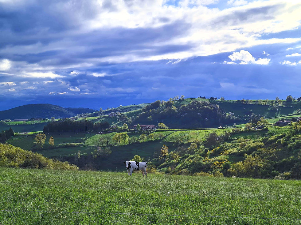 20250421_190034 paysages monts_redim_edited.jpg