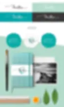 ac4.webp