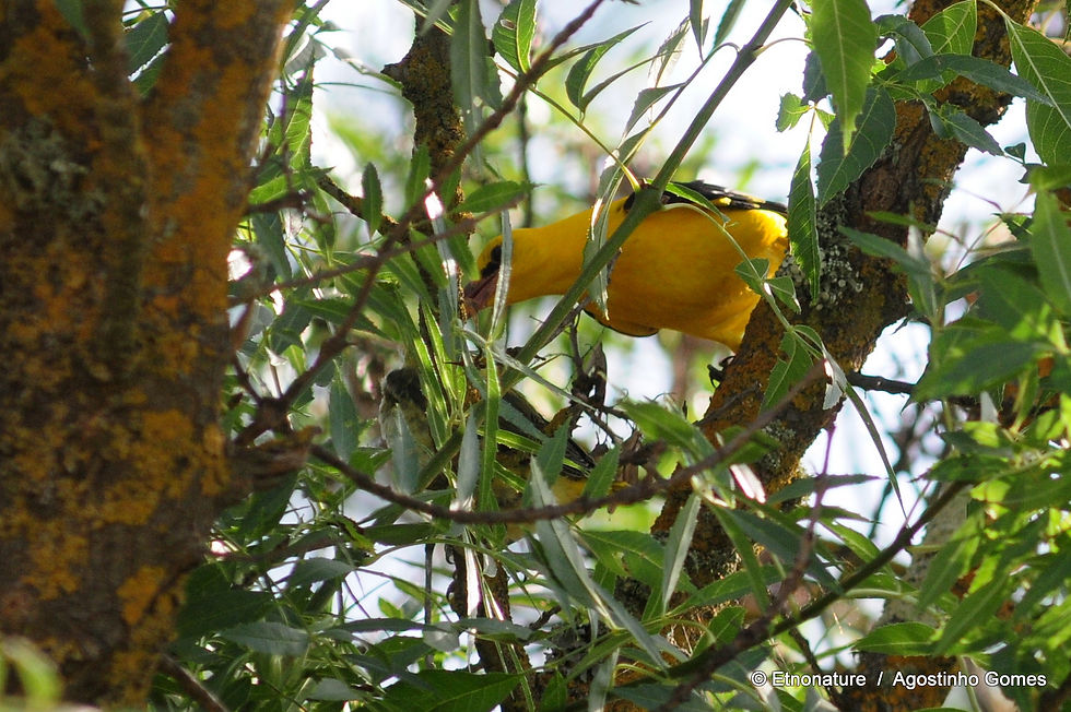 DSC_0206.JPG