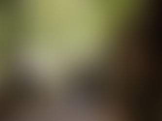 越野跑者必讀：ITRA 是什麼？積分怎麼算？與 UTMB 的關係？新手入門指南！