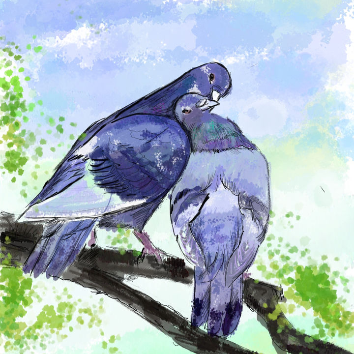 голуби (20220414065902).jpg