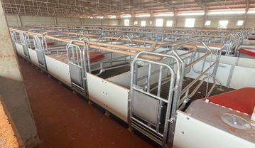 Limpeza pós obra industrial