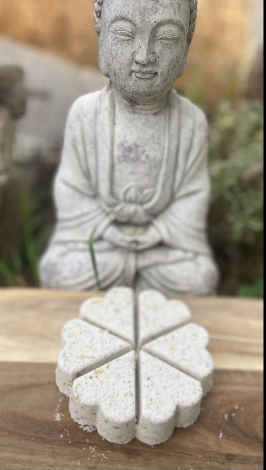 Botanical All Natural Pedi Bomb Happy Feet