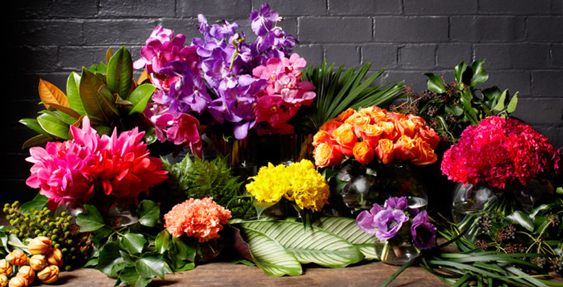 vividpetals2.jpg