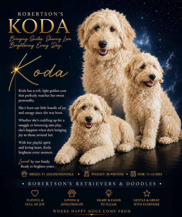 Koda Profile Picture.png