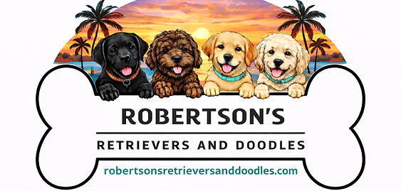 Robertsons Colorful Logo for FL.png