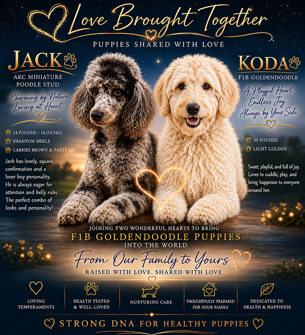 Combo Koda and Jack.png