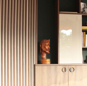 Стенна облицовка Linerio