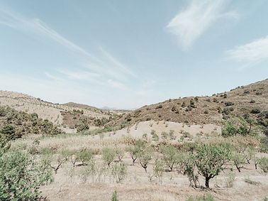 2023 dry landscape of maitreya.jpg