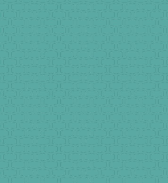 Patch Patrol backgrounds new-21.png