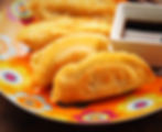 CHICKEN DUMPLINGS