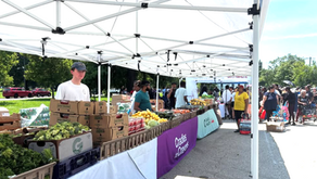 JUNE 2025 Newsletter 