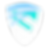 SAS White.png