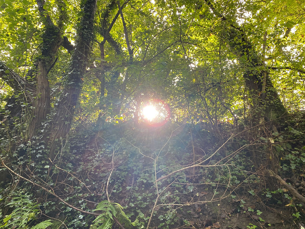 Needs in Nature