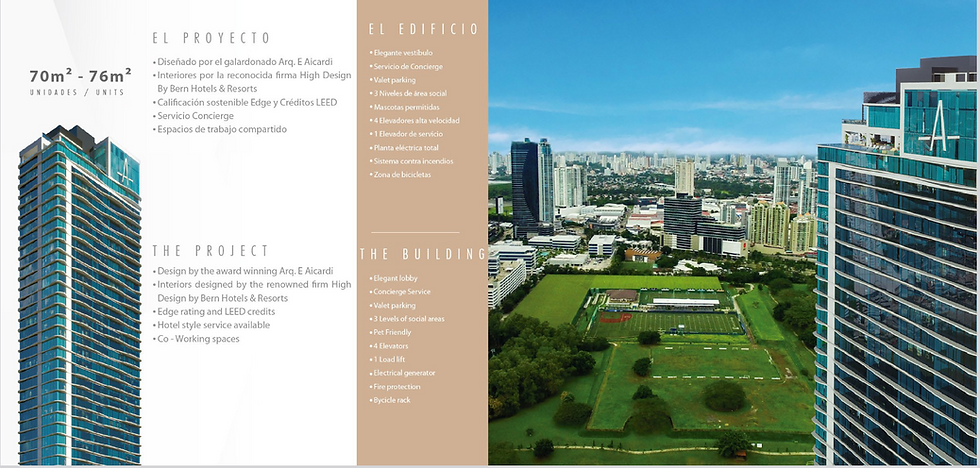 project over view.png