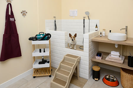 Dog Wash Grand chien