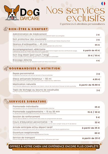 Dog Daycare – Services Signature & Attentions Personnalisées