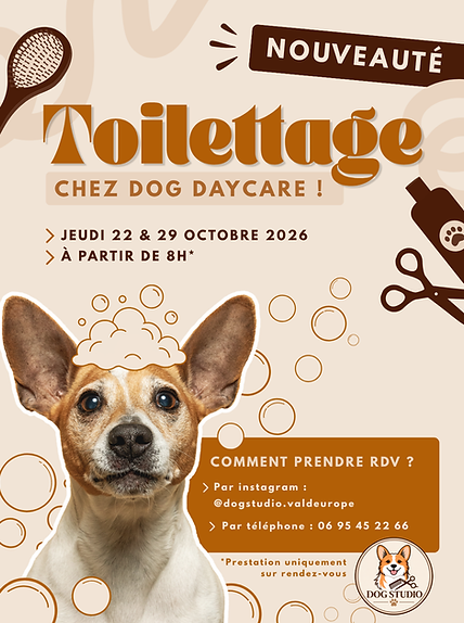 Toilettage chez Dog Daycare.png