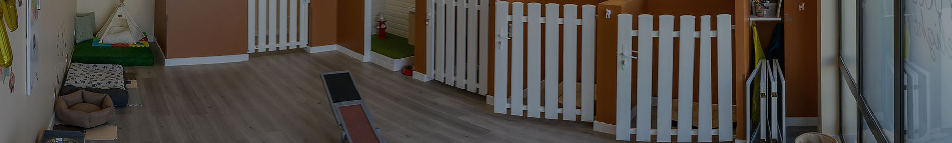 Dog Daycare - Fanny_BST8417-Panorama_edi