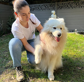 Leslie Dog Daycare