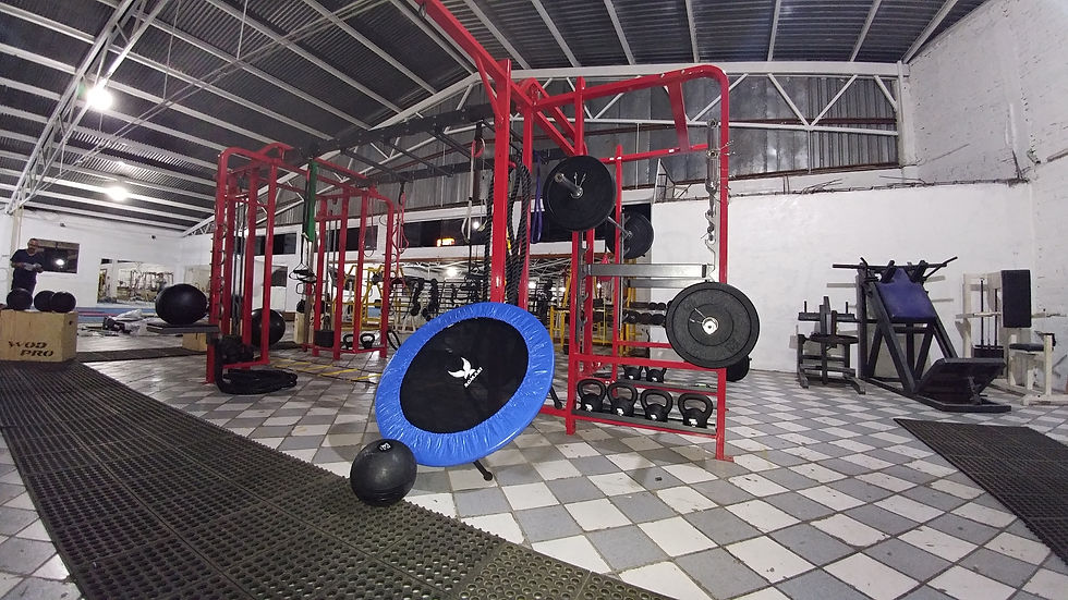 Miniatura: JAULAS Y ESTRUCTURAS PARA CROSSFIT