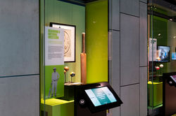 Australian Sports Museum-126