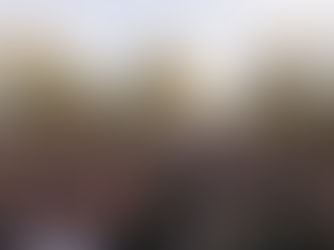 Bevrijdingfestival Zoetermeer weer groots gevierd