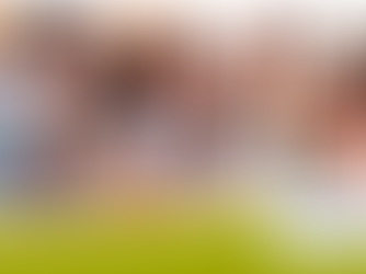 Professional Practice: studenten schieten te hulp 