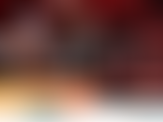 Netwerk Zoetermeer Jaarverslag 2021