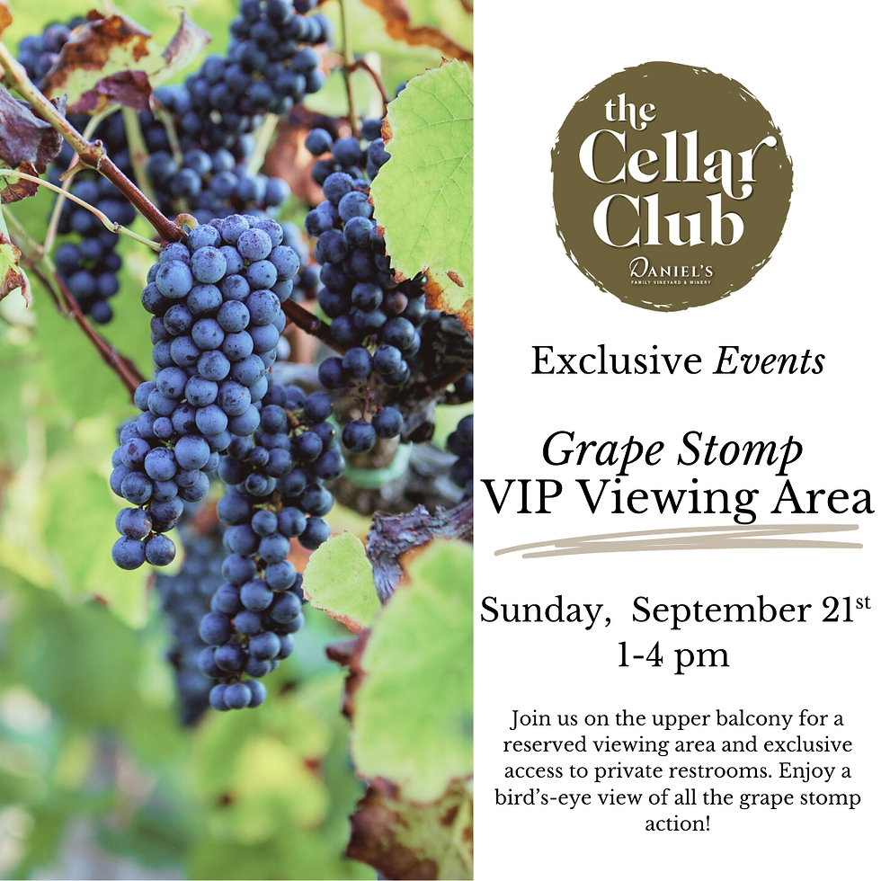 Grape Stomp VIP Viewing Area