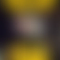 DETAIL FEST BRASIL 2026