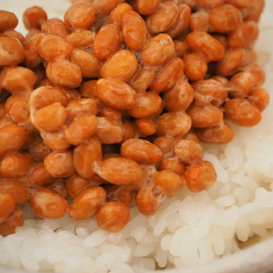 発酵について Oh Mammy 発酵について Oh Mammy