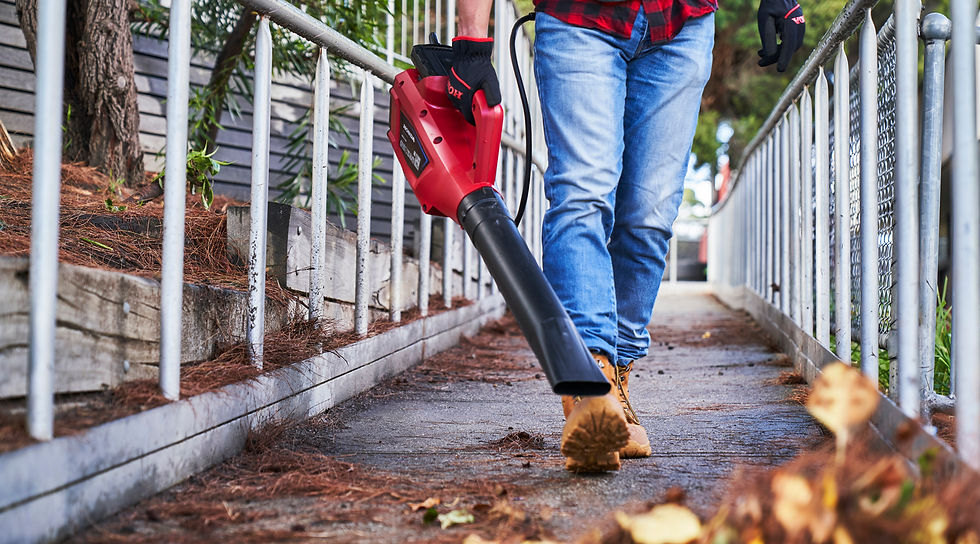 Thumbnail: HONDA HHB36 Battery Blower Skin