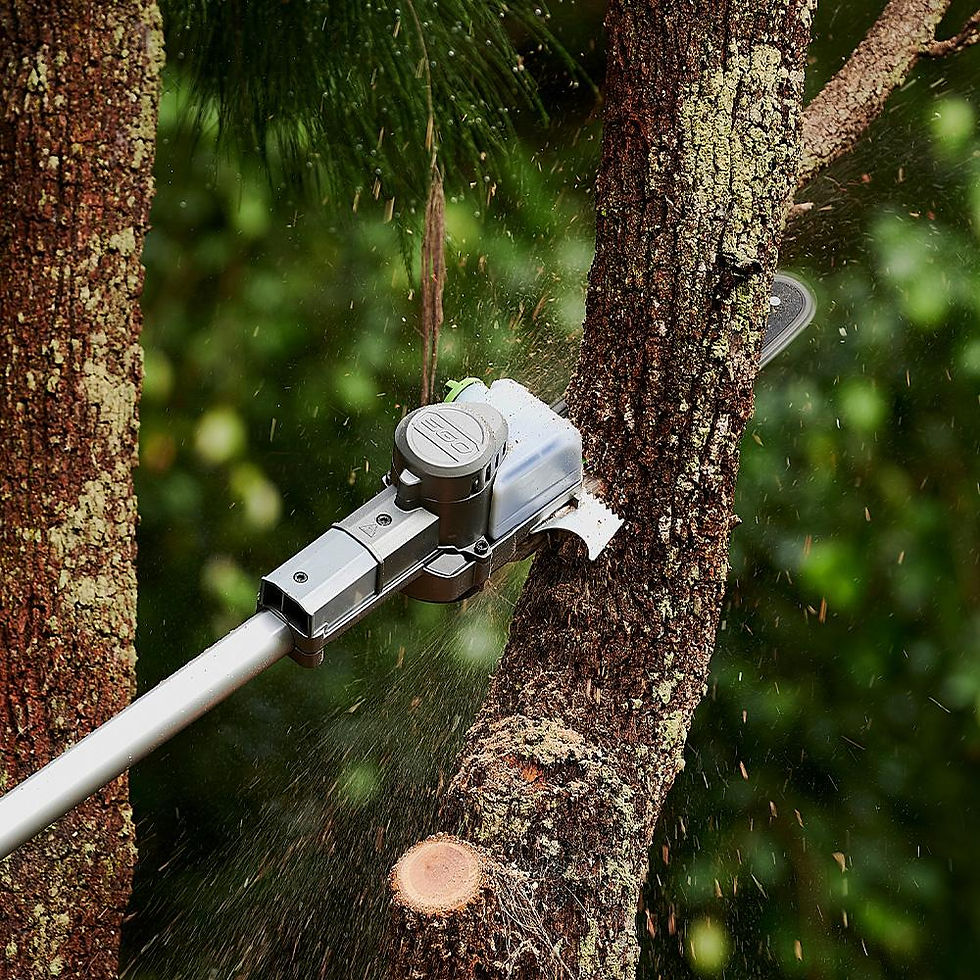 Thumbnail: EGO COMMERCIAL TELESCOPIC POLE SAW KIT