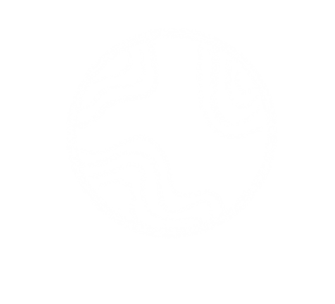 Untitled_Artwork 7.png