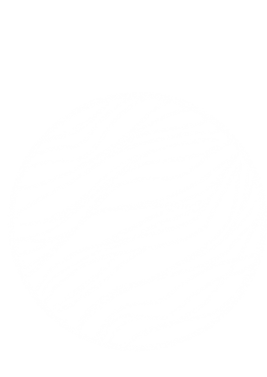 Untitled_Artwork 7.png