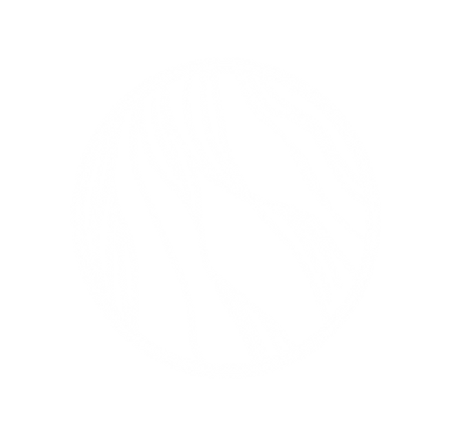 Untitled_Artwork 7.png