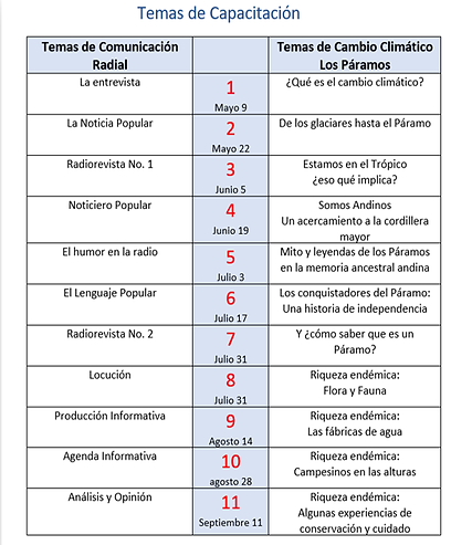 progrma.png
