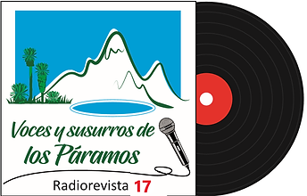 Radiorevista 17.png