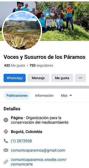 facebook paramos.jpeg