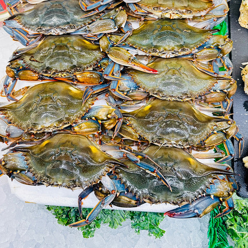 Soft Shell Crab | Fishery Seafood DC