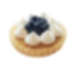 Blueberry Tart