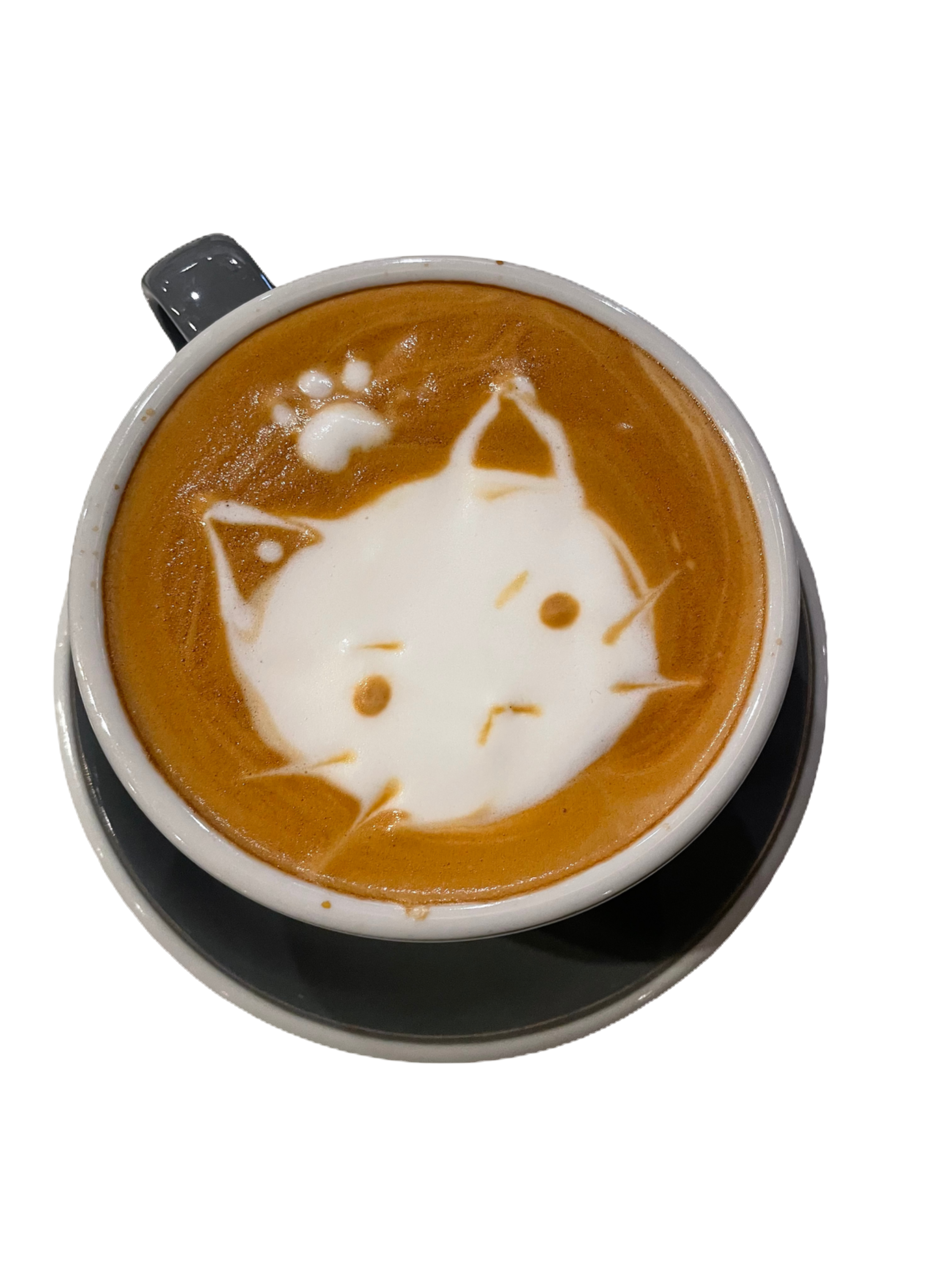 mavis cappuccino on the cup