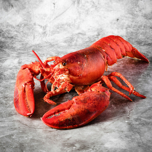 Lobsters Fishery Seafood Market DC