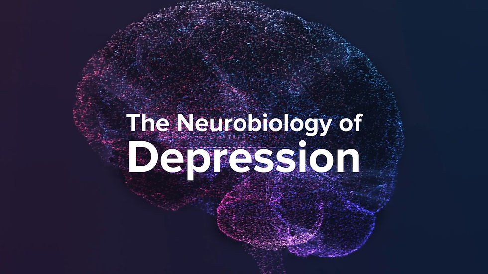 (Image from: https://www.yalemedicine.org/news/neurobiology-depression)