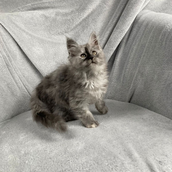 WhatsApp Image 2022-11-07 at 23.13.32.jpeg