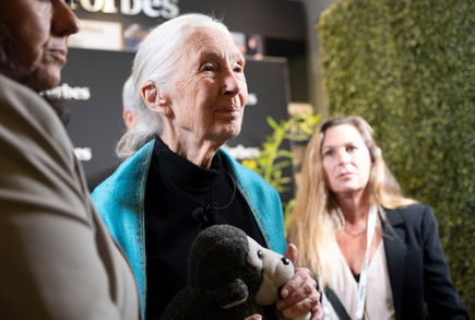 Jane Goodall